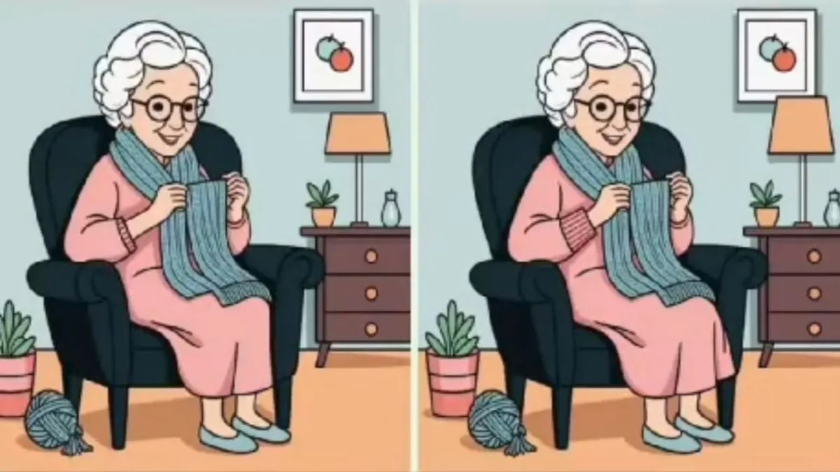 Latihan kejelian mata dalam menemukan 3 perbedaan pada kedua gambar nenek