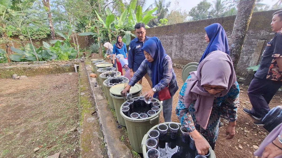 PT Permodalan Nasional Madani (PNM) melalui Cabang Purwokerto membentuk klasterisasi budidaya ikan di ember atau budidamber di Unit Mekaar Sumbang 2, Banyumas.