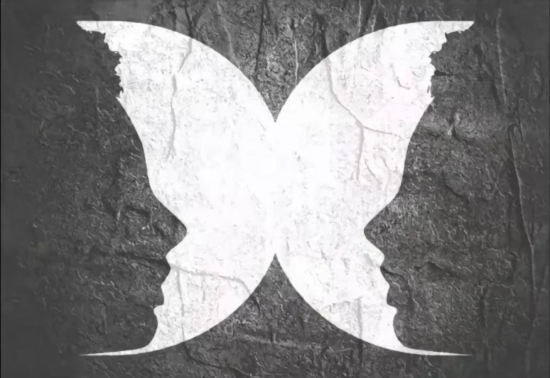 Tes Kepribadian: Kupu-kupu, 2 Wajah, atau Bulan? Gambar Pertama yang Dilihat Ungkap Kamu Ekstovert, Introvert atau Ambivert