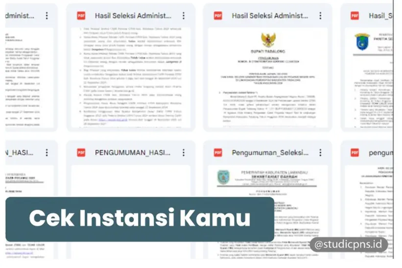 Hingga kini terdapat 2 instansi daerah yang telah mengumumkan hasil masa sanggah para pelamar CPNS 2024.