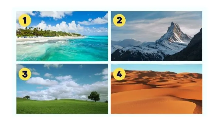 Ilustrasi Tes Kepribadian