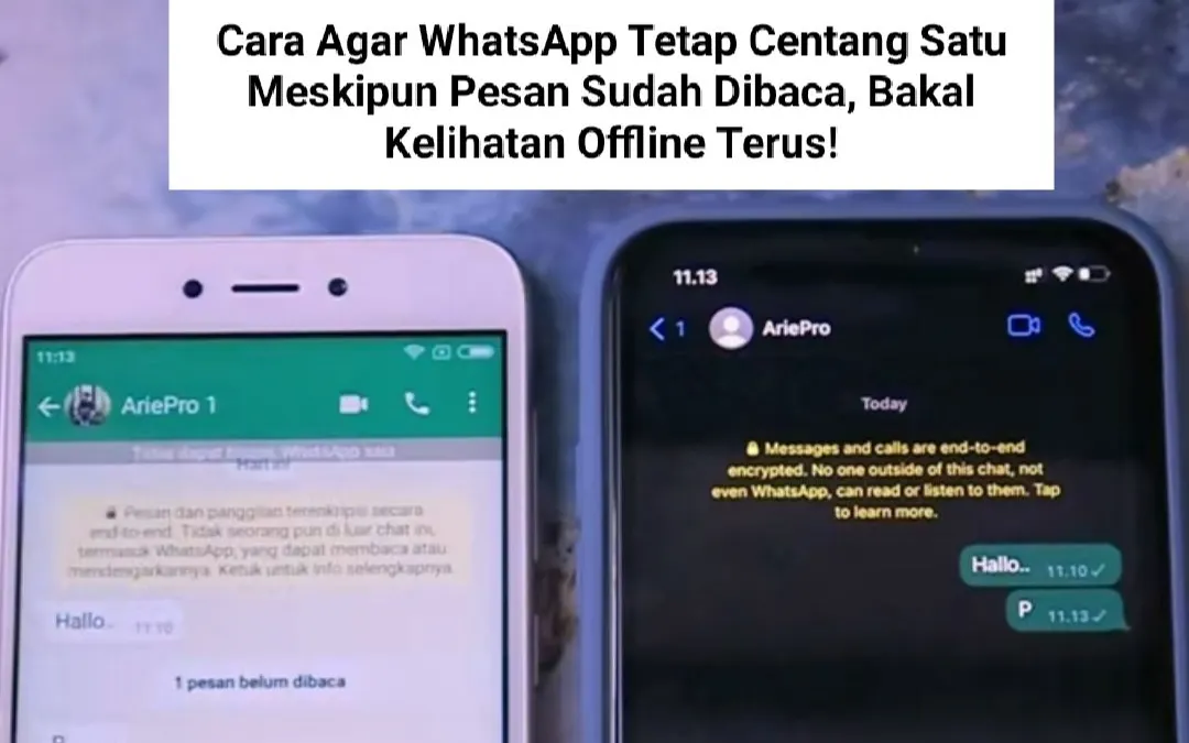 Illustrasi.Cara agar WhatsApp Tetap Centang Satu Meskipun Pesan Sudah Dibaca