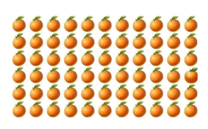 Illustrasi Tes Ketelitian