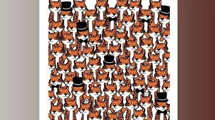 Ilustrasi tes ketelitian
