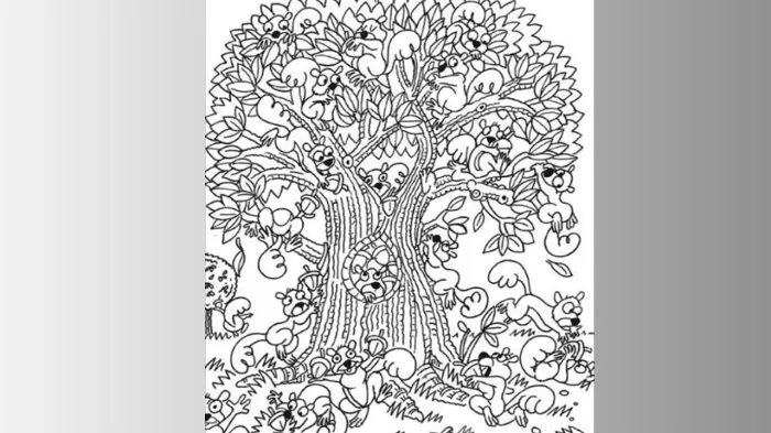 Ilustrasi tes ketelitian