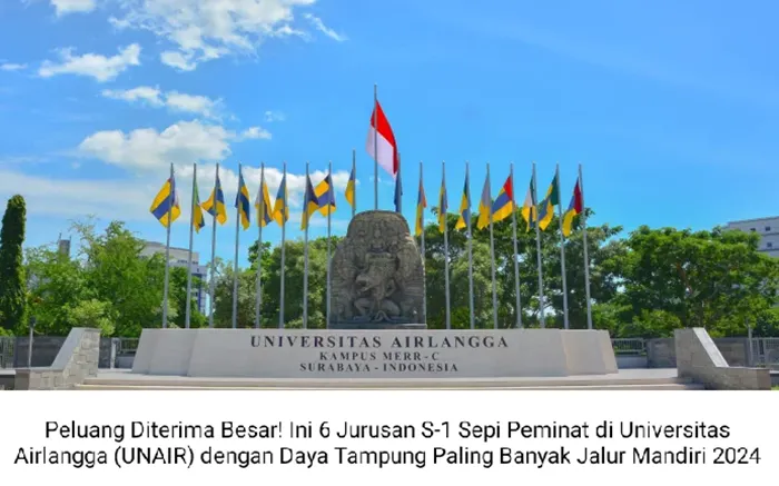 Ilustrasi. Jurusan sepi peminat dengan daya tampung besar ini bisa jadi referensi mendaftar Jalur Mandiri UNAIR karena peluang diterima lebih besar.