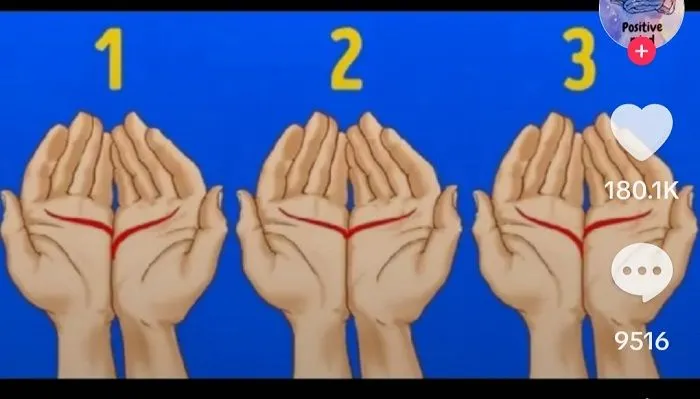 Ilustrasi tes kepribadian lewat bentuk garis tangan