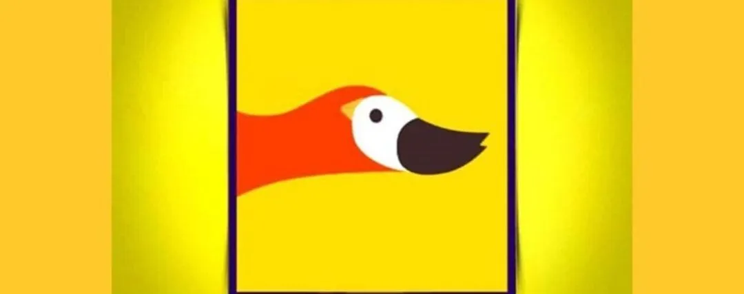 Tes Kepribadian: Lihat Burung atau Bebek? Ketahui Otak Paling Aktif Kamu, Otak Kanan atau Otak Kiri?