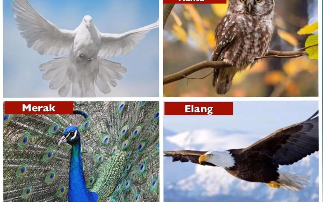 Tes Kepribadian: Pilih 1 Burung dan Ungkap Karakter hingga Sifat Positif dan Negatifmu!