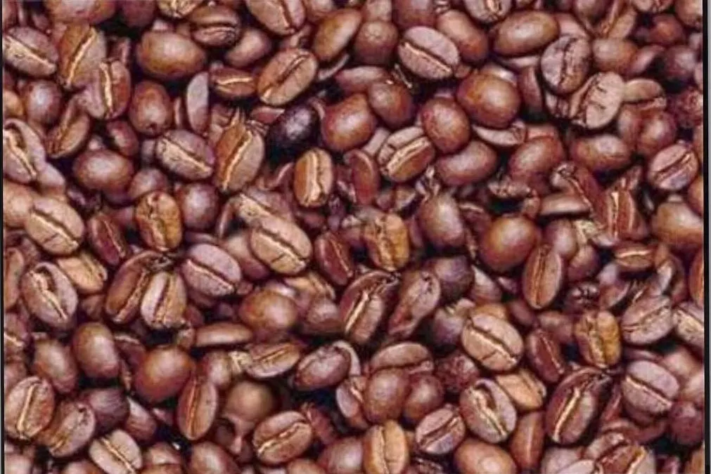 Tes Penglihatan: Temukan Kepala Laki-Laki di Antara Kopi