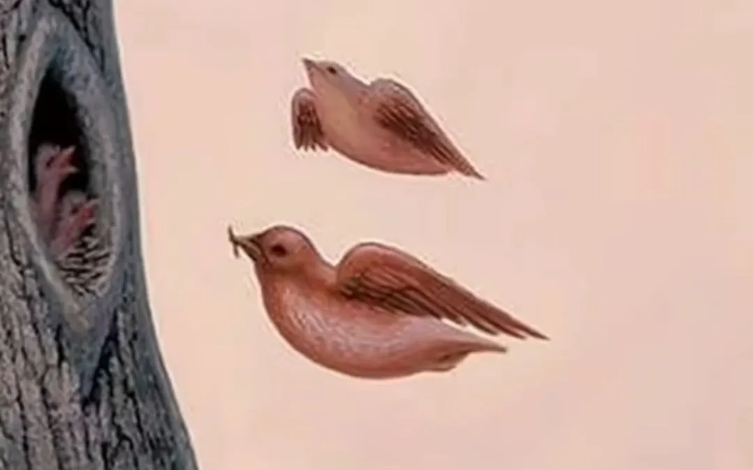 Tes Kepribadian: Lihat Burung atau Hidung dan Mulut?