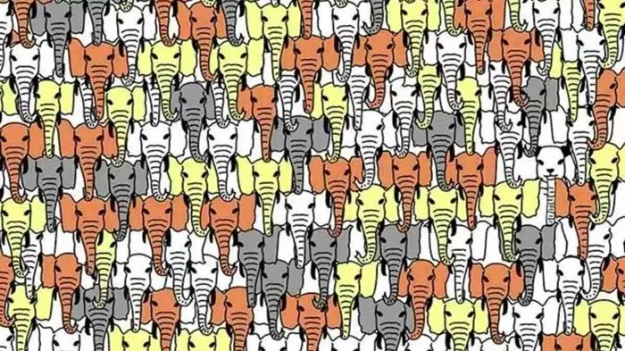 Tes Penglihatan: Gunakan Keahlian Observasimu untuk Mencari Panda Tersembunyi di Antara Gajah!