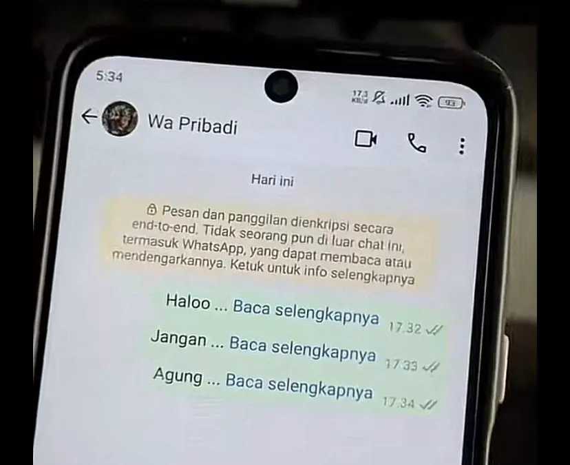 TIPS WhatsApp: Cara Buat Keterangan ‘Baca Selengkapnya’ di Chat WA Padahal Isi Pesannya Pendek