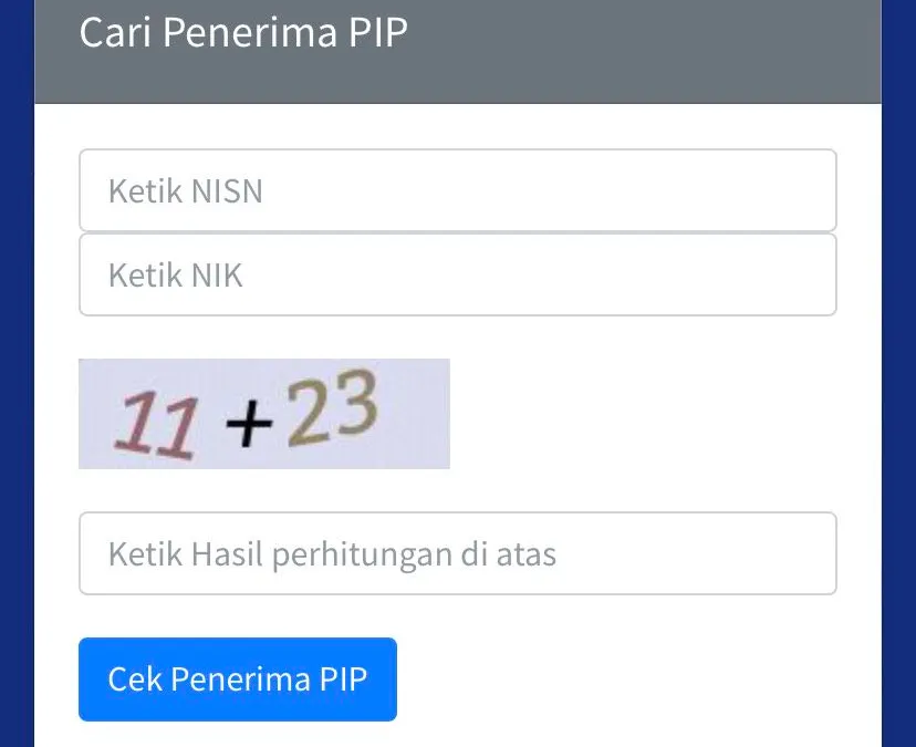 Ilustrasi PIP