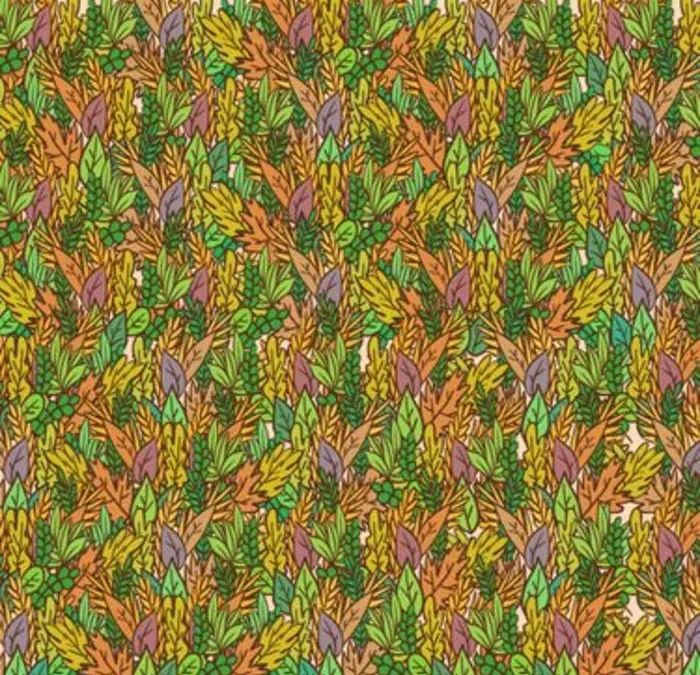 Ilustrasi tes penglihatan dimana katak bersembunyi dalam waktu 30 detik.
