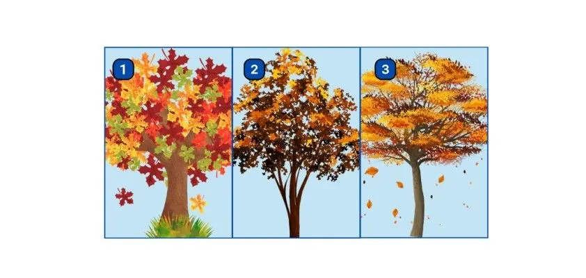Ilustrasi tes kepribadian