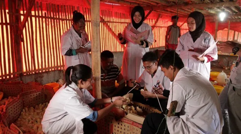 Melalui seleksi Calon Pegawai Negeri Sipil (CPNS) menjadi salah satu cara untuk menjaring sumber daya manusia yang berkompeten.
