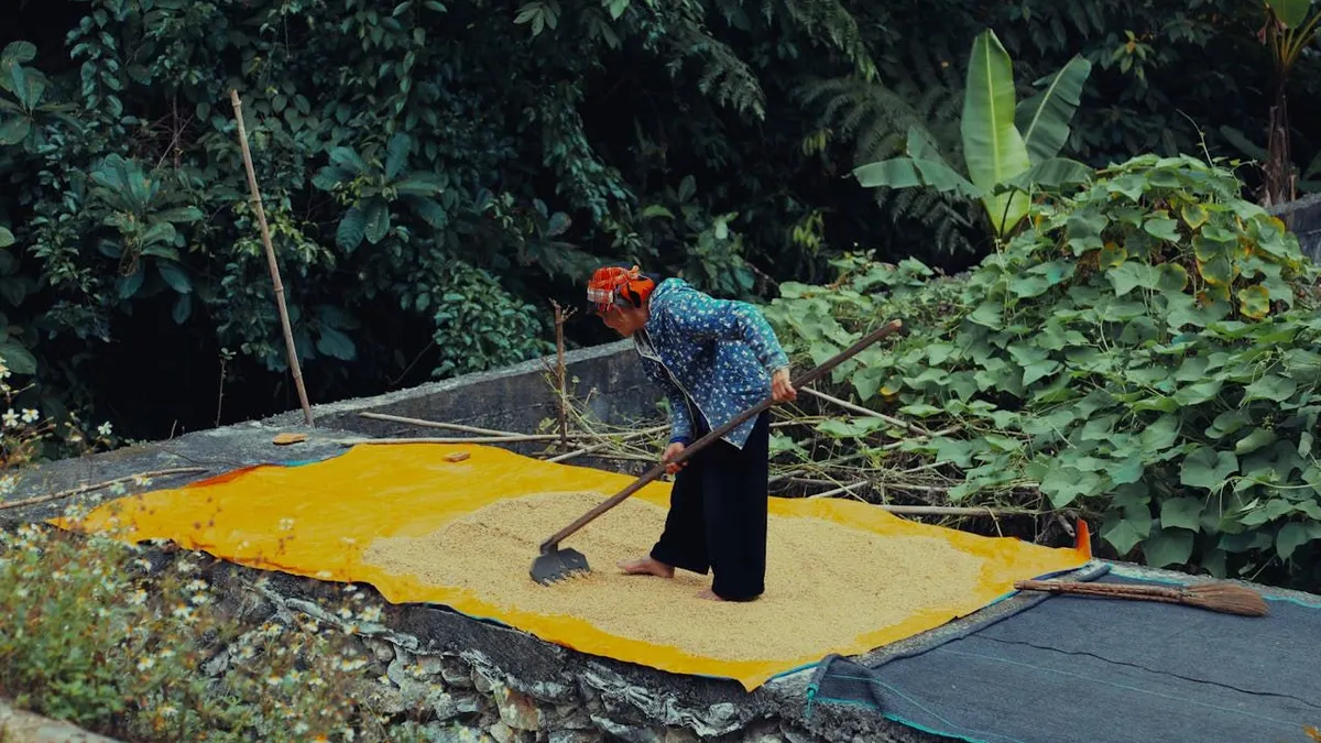 Meskipun tergolong rendah. Pada triwulan II-2024, pertanian DKI Jakarta hanya menyumbang 0,07 persen dari perekonomian DKI Jakarta.