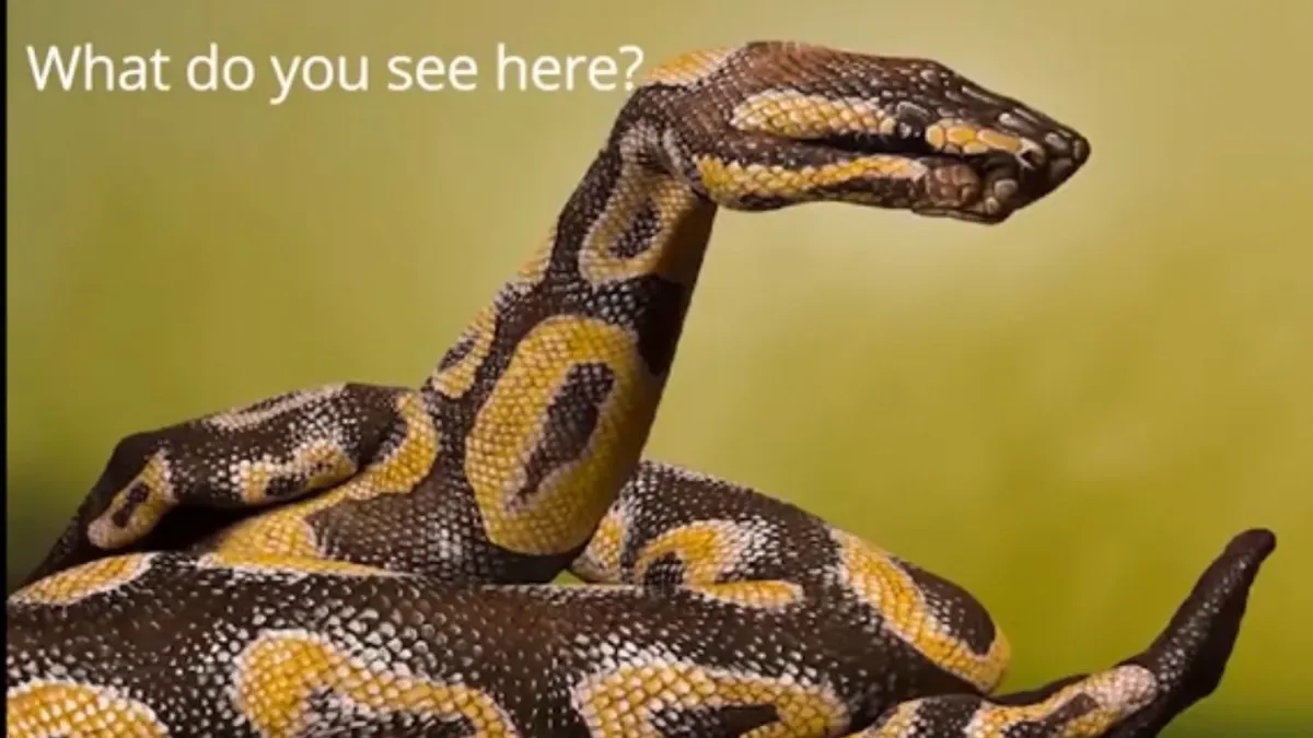 Perhatikan gambar ini, apa yang kamu lihat Kemudian baca penjelasan di bawah ini untuk mengungkap siapa kamu sebenarnya.