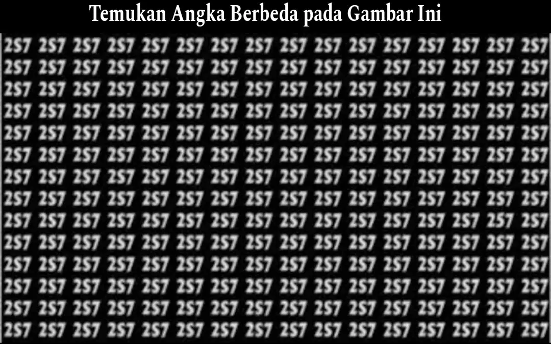 Dalam tes penglihatan ini ada angka 257 yang sengaja disembunyikan di antara kumpulan angka dan huruf 2S7