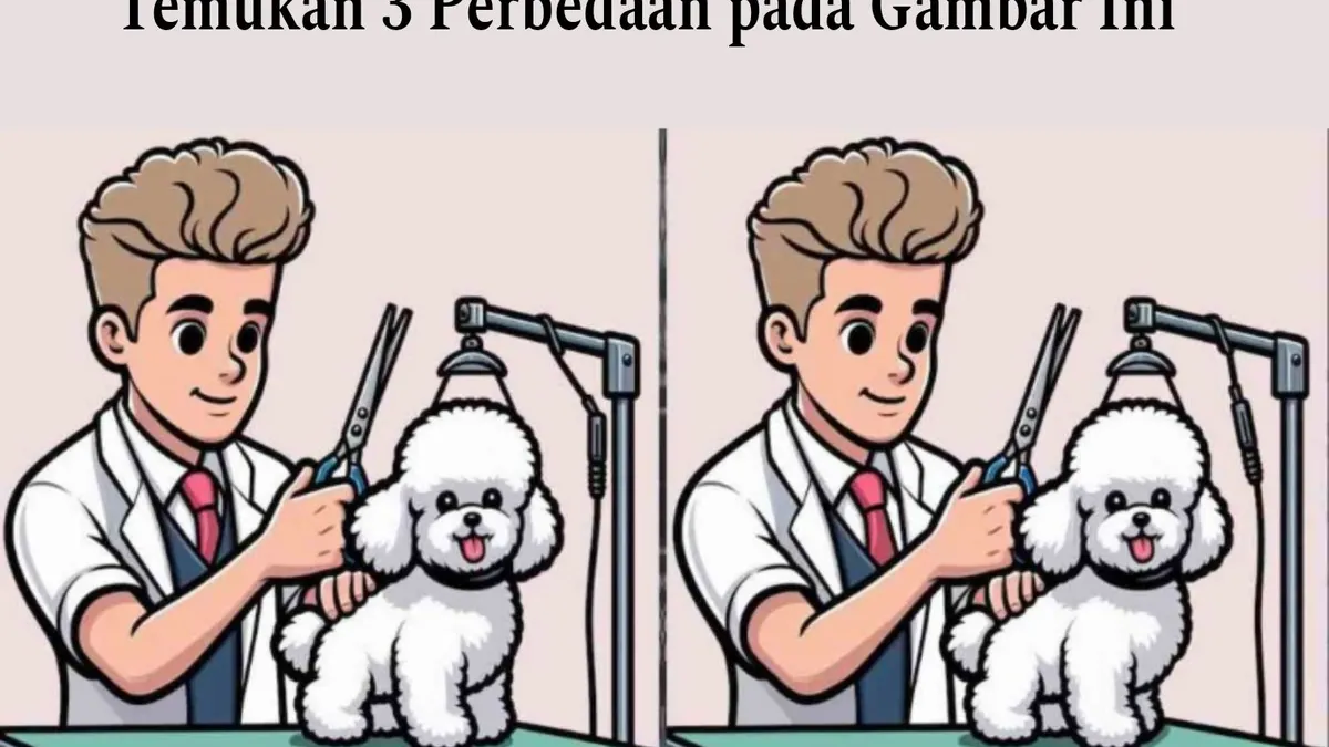 Tes IQ.