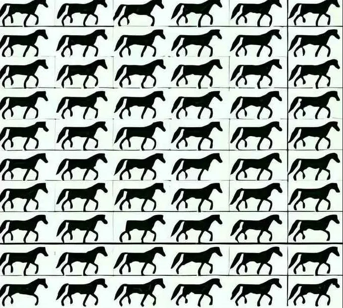 Tes IQ : Punya Kemampuan Observasi? Coba Temukan Ada Berapa Kuda Berkaki Tiga pada Gambar Ini
