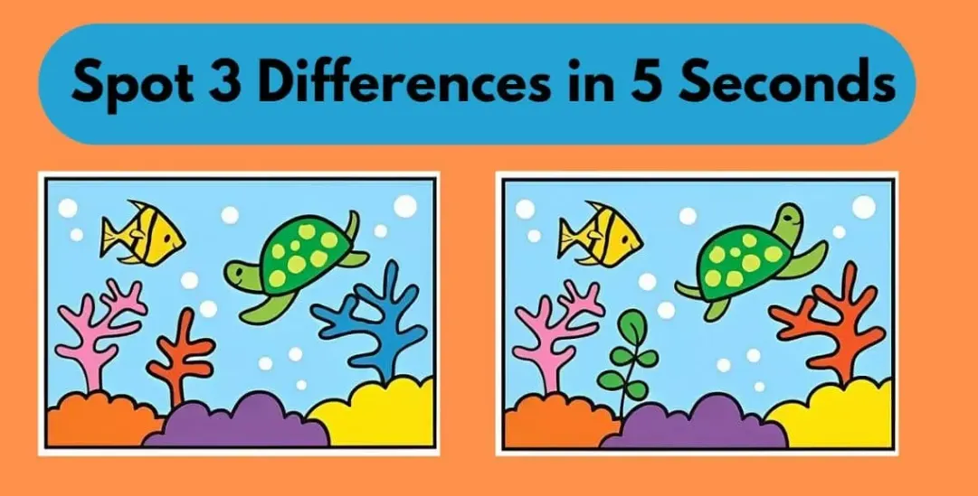 Tes IQ: Istirahat Sejenak, Ayo Bermain! Cari 3 Perbedaan pada Gambar Ikan dan Kura-kura Ini, Yakin Bisa Menemukan?