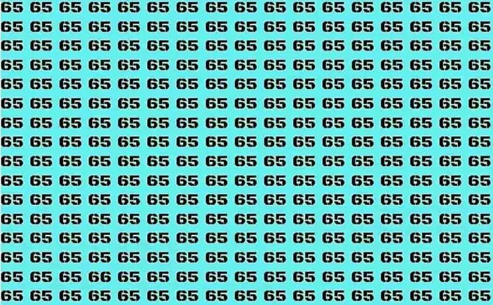 Tes ilusi optik Cari Angka 66 di Antara Deretan 65