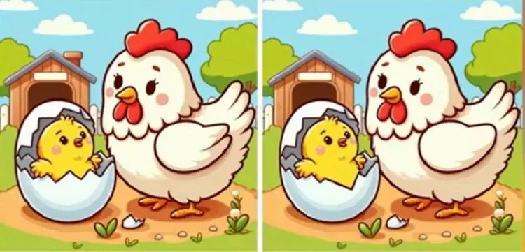 Ilustrasi tes penglihatan