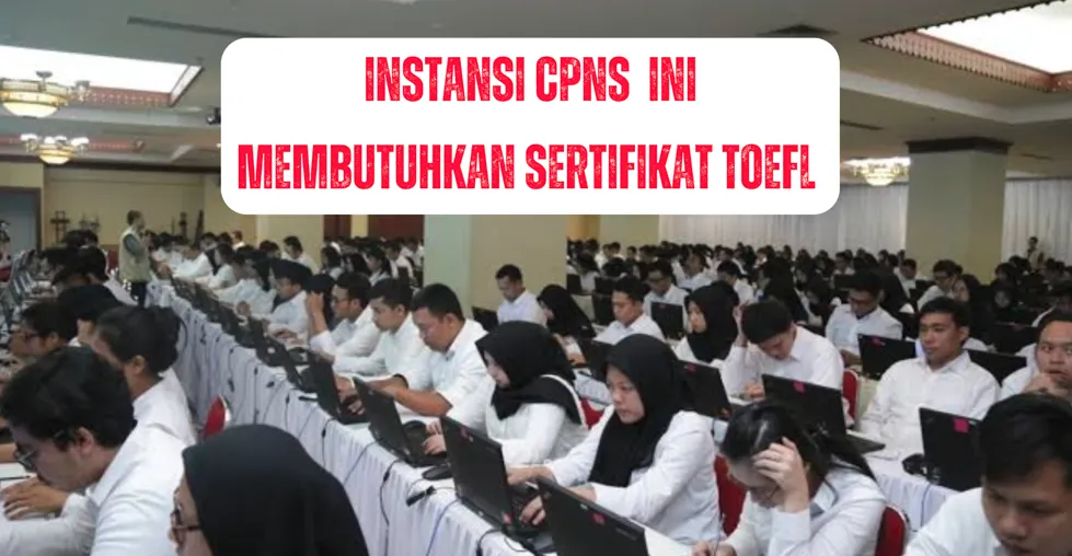 CPNS 2024: 19 Instansi yang Mewajibkan Sertifkat TOEFL Sebagai Persyaratan