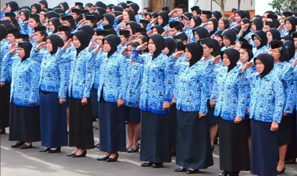 Perbedaan Formasi Fungsional dan Pelaksana dalam Seleksi CPNS 2024