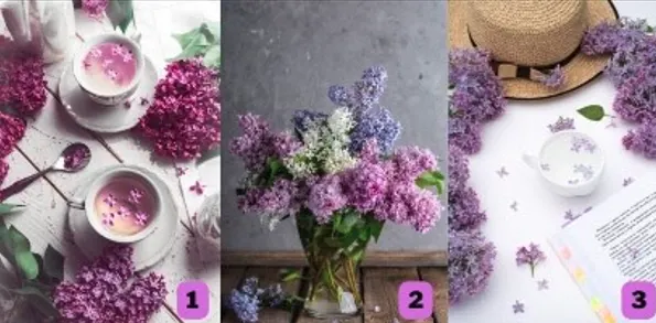 Tes Psikologi: Pilih Salah Satu Bunga Lilac Ini dan Cari Tahu Apa Luka Batin yang Kamu Alami Saat Ini