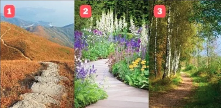 Tes Psikologi: Apa Kelebihan Terbesar Karaktermu? Coba Pilih Salah 1 Jalur Ini, Pegunungan, Taman Bunga atau Hutan