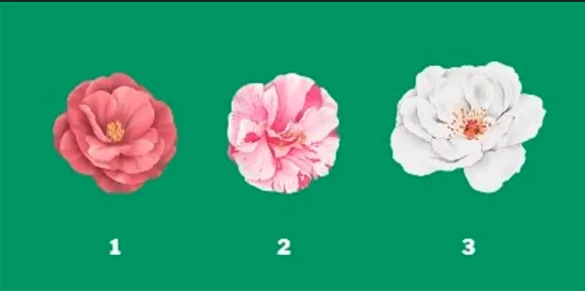 Tes Psikologi: Pilih Salah 1 Bunga Camelia Ini dan Ketahui Bagaimana Gaya Kepemimpinanmu