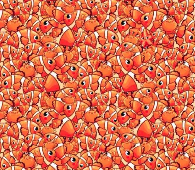 Tes IQ: Ayo Coba Temukan 1 Bintang Laut yang Bersembunyi di Antara Ikan Nemo dan Kepiting Lucu Ini, Waktumu 10 Detik!