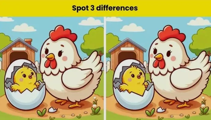 Tes IQ: Temukan 3 Perbedaan pada Gambar Ayam dan Anaknya yang Lucu