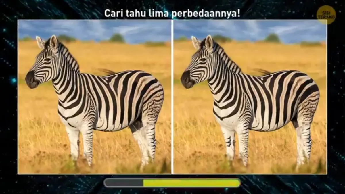 Tes IQ : Perhatikan Zebra Ini dan Temukan 5 Perbedaannya