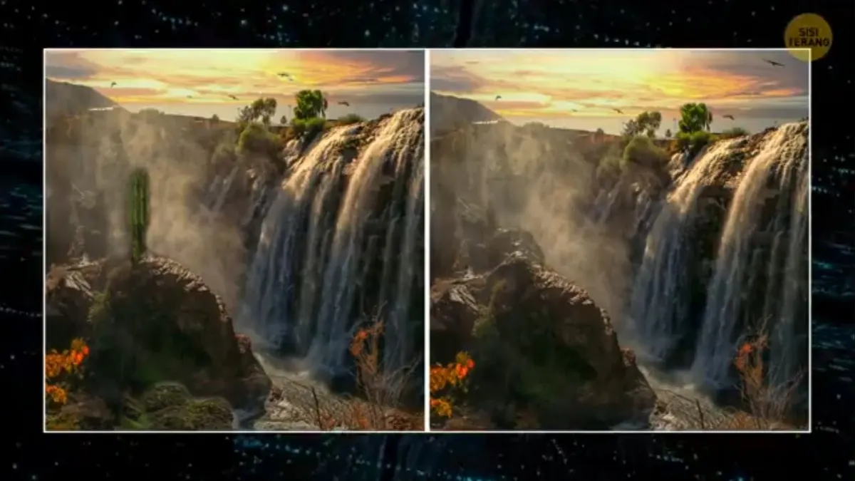 Tes IQ : Apakah Kamu Bisa Menemukan 5 Perbedaan Pada Gambar Air Terjun