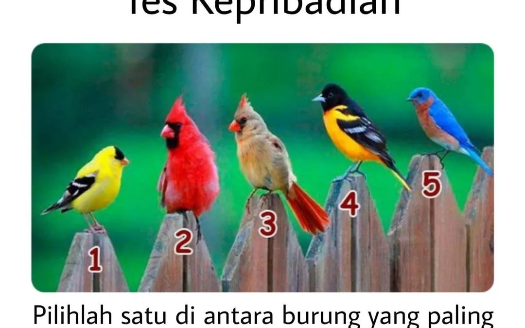 Ilustrasi tes kepribadian