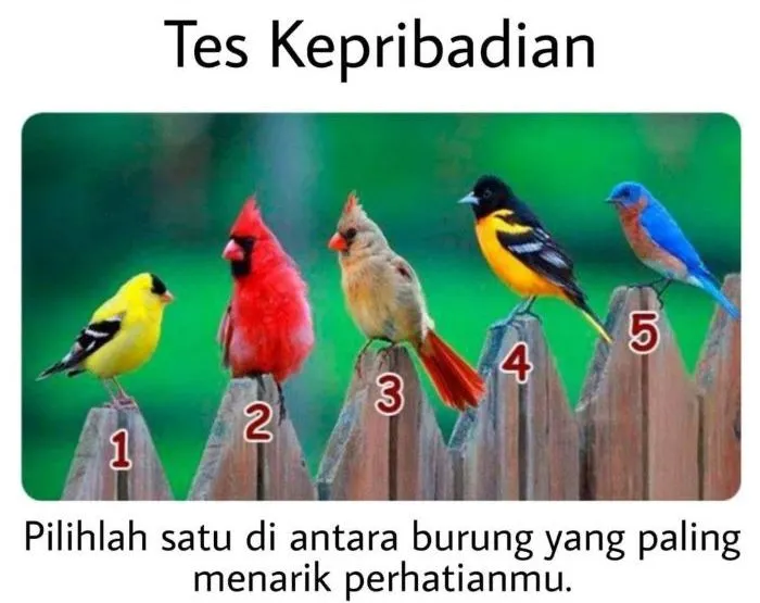 Ilustrasi tes kepribadian