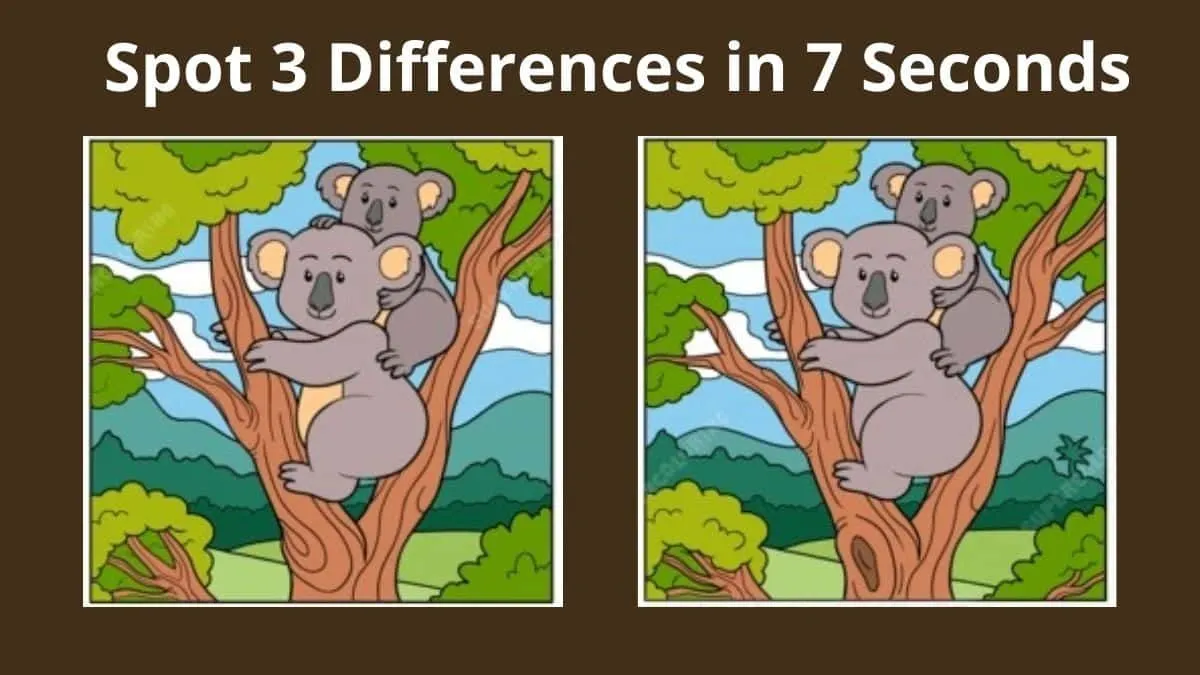 Tes Penglihatan: Seberapa Tinggi IQ Kamu? Temukan 3 Perbedaan pada Gambar Koala Duduk di Dahan Pohon Ini, Uji Kemampuan Analisamu