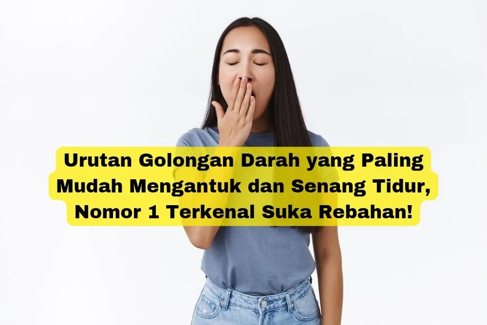 Urutan Golongan Darah yang Paling Mudah Mengantuk dan Senang Tidur