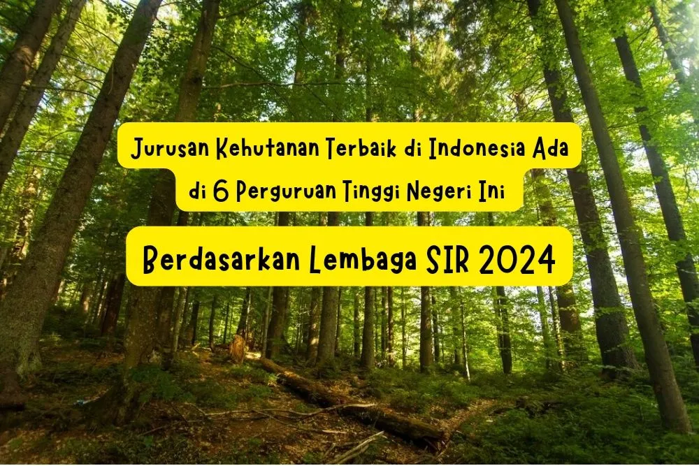 6 Universitas dengan Jurusan kehutanan terbaik di Indonesia