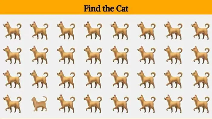 Tes Ilusi Optik: Ada 1 Kucing yang Bersembunyi pada Gambar Ini, Yuk Temukan Jawabannya dalam Waktu 10 Detik!
