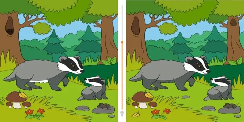 Tes Penglihatan: Sering Gagal Fokus? Yuk Latih Konsentrasimu dengan Cari 12 Perbedaan Dada Musang Ini