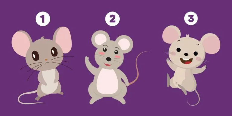 Tes Psikologi: Pilih 1 dari 3 Tikus Lucu Ini dan Ungkap Watak Asli Kamu Introvert atau Ekstrovert