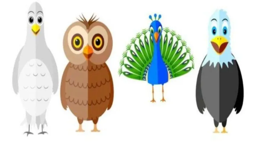 Tes kepribadian berbasis gambar burung ini mungkin bisa membantu kamu lebih memahami sisi positif dan negatif dari karaktermu.