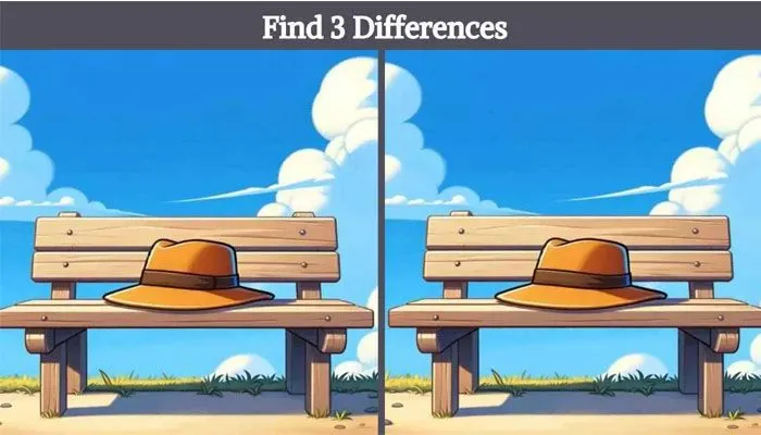 Tes Ilusi Optik: Temukan 3 Perbedaan Topi di Atas Bangku pada Gambar dalam Waktu 9 Detik!