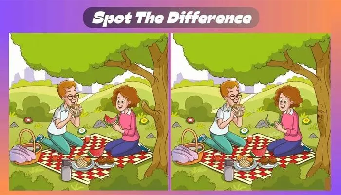 Tes IQ: Tantang Dirimu dengan Menemukan 3 Perbedaan pada Gambar Pasangan yang sedang Piknik
