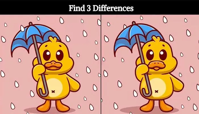 Tes IQ: Coba Temukan 3 Perbedaan pada Gambar Bebek Membawa Payung Ini!